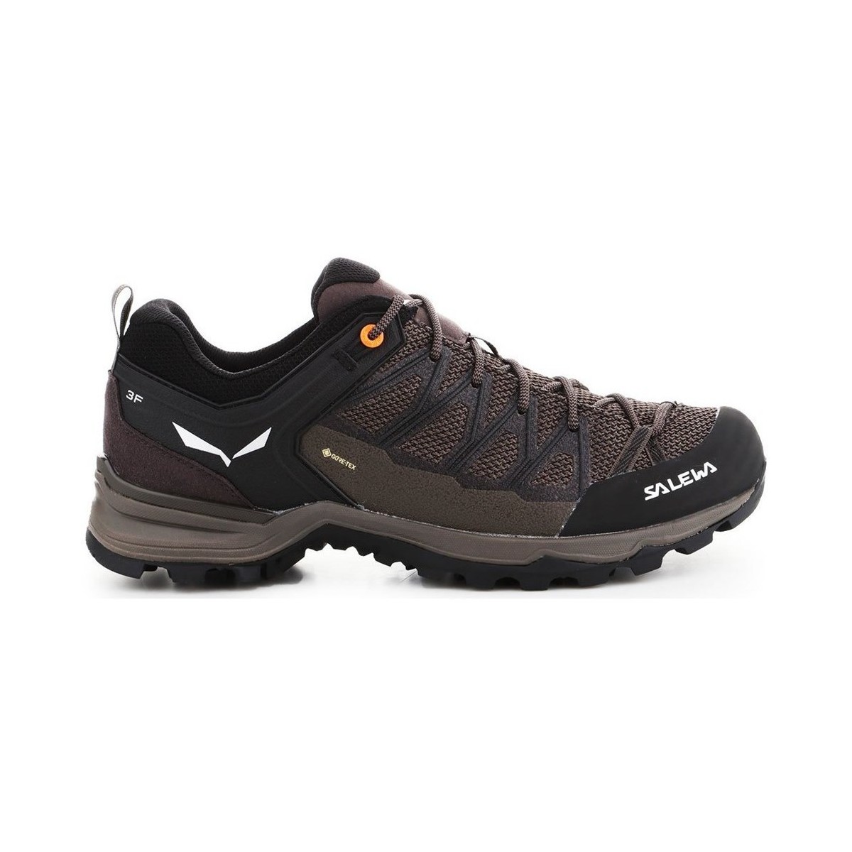 Pantofi Bărbați Drumetie și trekking Salewa Mtn Trainer Lite Gtx Cafenii, Negre