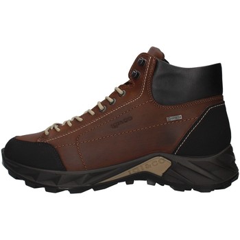 Pantofi Bărbați Pantofi sport stil gheata IgI&CO 8140222 Maro