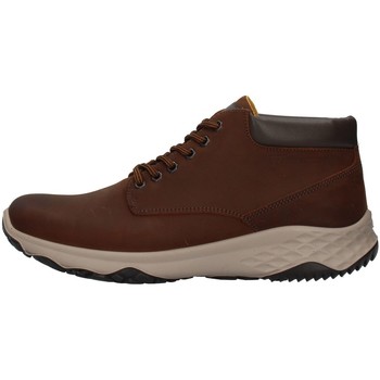 Pantofi Bărbați Pantofi sport Casual IgI&CO 8119511 Maro