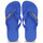Pantofi  Flip-Flops Havaianas BRASIL LAYERS Albastru