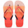 Pantofi Femei  Flip-Flops Havaianas TOP LOGOMANIA MULTICOLOR Roz / Beie