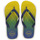 Pantofi  Flip-Flops Havaianas BRASIL FRESH Verde / Albastru / Galben