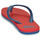 Pantofi Băieți  Flip-Flops Quiksilver MOLOKAI YOUTH Roșu / Albastru