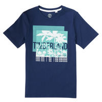 Îmbracaminte Băieți Tricouri mânecă scurtă Timberland HOVROW Albastru