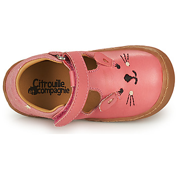 Citrouille et Compagnie NEW 56 Pink