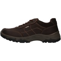 Pantofi Bărbați Drumetie și trekking Enval 8218022 Maro