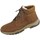 Pantofi Bărbați Pantofi sport stil gheata Rieker 3124022 Maro