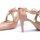 Pantofi Femei Pantofi cu toc Martinelli Thelma 1489-3498P Nude roz