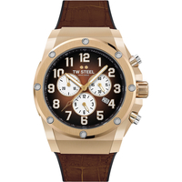 Ceasuri & Bijuterii Bărbați Ceasuri Analogice Tw-Steel ACE132, Quartz, 44mm, 20ATM Auriu