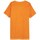 Îmbracaminte Bărbați Tricouri mânecă scurtă Outhorn TSM603 portocaliu