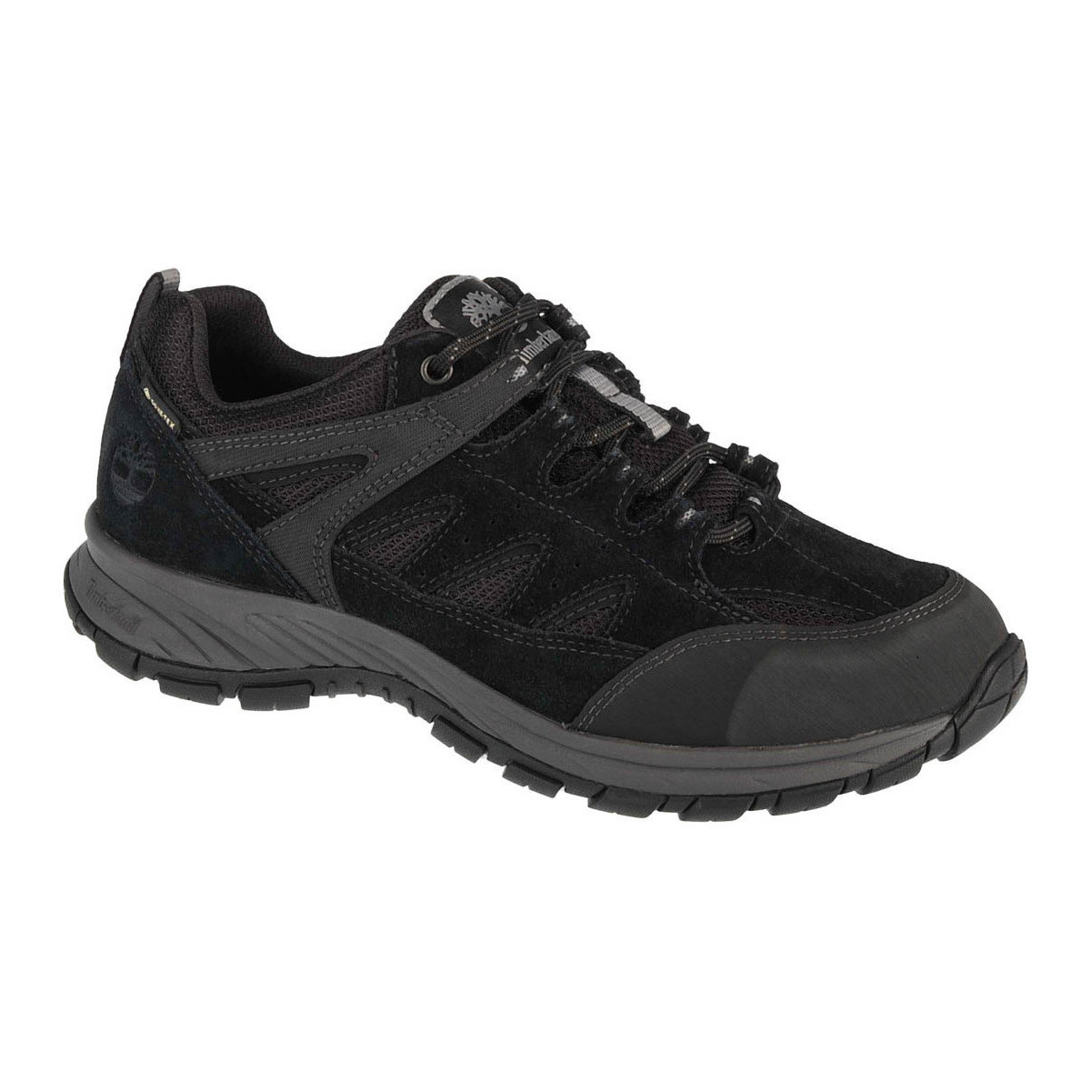 Pantofi Bărbați Drumetie și trekking Timberland Sadler Pass GTX Negru