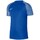 Îmbracaminte Bărbați Tricouri mânecă scurtă Nike Drifit Academy albastru