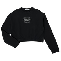 Îmbracaminte Fete Hanorace  Calvin Klein Jeans METALLIC BOX LOGO SWEATSHIRT Negru