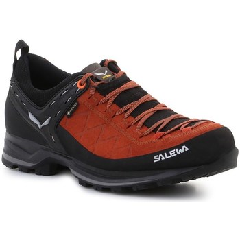 Pantofi Bărbați Drumetie și trekking Salewa MS Mtn Trainer 2 Gtx Cafenii, Negre
