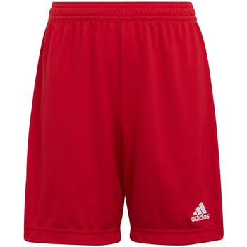 Îmbracaminte Băieți Pantaloni trei sferturi adidas Originals Entrada 22 roșu