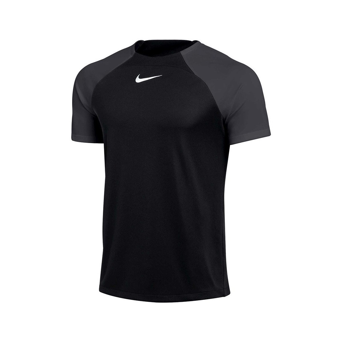 Îmbracaminte Bărbați Tricouri mânecă scurtă Nike Drifit Adacemy Pro Negru
