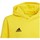 Îmbracaminte Băieți Hanorace  adidas Originals Entrada 22 galben