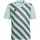 Îmbracaminte Băieți Tricouri mânecă scurtă adidas Originals Entrada 22 Graphic Jersey Gri, Verde