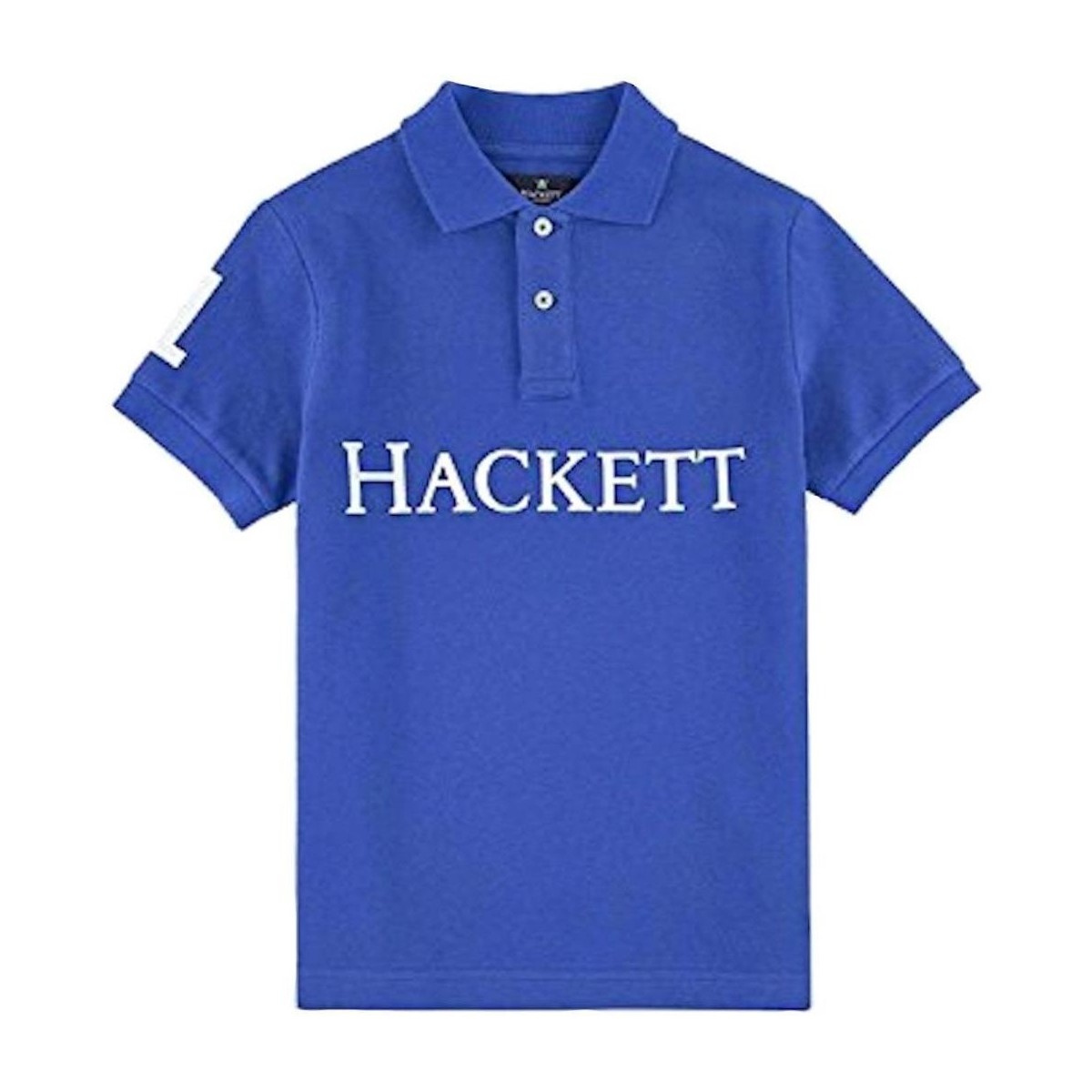 Îmbracaminte Băieți Tricouri mânecă scurtă Hackett  albastru