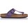 Pantofi Femei Sandale Interbios SANDALE  7110 violet