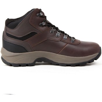 Pantofi Bărbați Drumetie și trekking Hi-Tec Altitude VI Michelin Maro