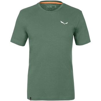 Îmbracaminte Bărbați Tricouri & Tricouri Polo Salewa Pure Dolomites Hemp Men's T-Shirt 28329-5320 verde