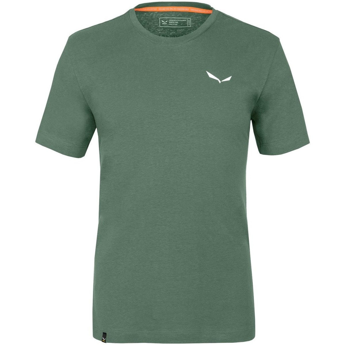 Îmbracaminte Bărbați Tricouri & Tricouri Polo Salewa Pure Dolomites Hemp Men's T-Shirt 28329-5320 verde