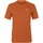 Îmbracaminte Bărbați Tricouri & Tricouri Polo Salewa Pure Dolomites Hemp Men's T-Shirt 28329-4170 portocaliu