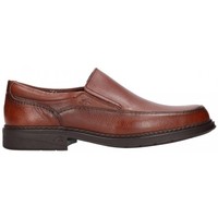 Pantofi Bărbați Pantofi Oxford
 Fluchos  Maro