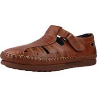 Pantofi Bărbați Sandale
 Pitillos 4662P Maro
