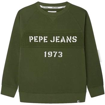 Îmbracaminte Băieți Hanorace  Pepe jeans  verde