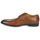 Pantofi Bărbați Pantofi Derby Pellet ALIBI Veal / Brandy