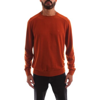 Îmbracaminte Bărbați Tricouri mânecă scurtă Calvin Klein Jeans K10K110477 Maro