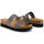 Pantofi Femei  Flip-Flops Scholl - kaory-f27031 Maro