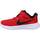 Pantofi Băieți Pantofi sport Casual Nike REVOLUTION 6 BABY/TODDL roșu