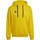 Îmbracaminte Bărbați Bluze îmbrăcăminte sport  adidas Originals adidas Entrada 22 Sweat Hoodie galben
