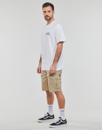 Dickies AITKIN CHEST TEE SS Alb
