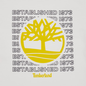 Timberland T25T97 Alb