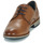 Pantofi Bărbați Pantofi Derby Lloyd TAMBO Coniac