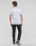 Îmbracaminte Bărbați Tricouri mânecă scurtă Calvin Klein Jeans MICRO MONOLOGO TEE Alb
