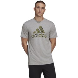 Îmbracaminte Bărbați Tricouri mânecă scurtă adidas Originals Logo Camo Gri