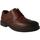 Pantofi Bărbați Pantofi Oxford
 Comfort  Maro