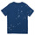 Îmbracaminte Băieți Tricouri mânecă scurtă Polo Ralph Lauren GRAPHIC TEE2-KNIT SHIRTS-T-SHIRT Albastru