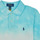 Îmbracaminte Băieți Tricou Polo mânecă scurtă Polo Ralph Lauren SS CN M4-KNIT SHIRTS-POLO SHIRT Albastru / Tide /  dye
