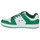 Pantofi Bărbați Pantofi sport Casual DC Shoes MANTECA 4 SN Alb / Verde