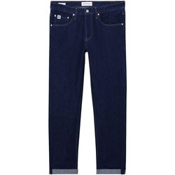 Îmbracaminte Bărbați Jeans drepti Calvin Klein Jeans J30J321430 albastru