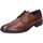 Pantofi Bărbați Pantofi Oxford
 4.0 BE416 Maro