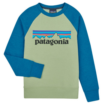 Îmbracaminte Copii Hanorace  Patagonia K's LW Crew Sweatshirt Multicolor