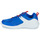 Pantofi Copii Pantofi sport Casual Reebok Sport REEBOK RUSH RUNNER 4.0 Albastru / Alb