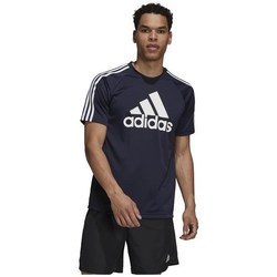 Îmbracaminte Bărbați Tricouri mânecă scurtă adidas Originals Sereno Logo Tee Albastru